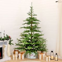 a small christmas tree sitting on top of a wooden floor next to a fire place