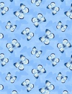 blue and white butterflies on a light blue background