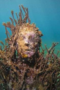 an underwater view of a statue made out of corals and seaweed with blue water in the background