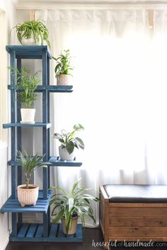 some plants are sitting on shelves in a room