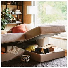 an open suitcase sitting on top of a couch next to a window with plants in it