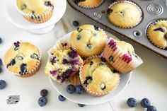 some blueberry muffins are sitting on a plate next to other muffins