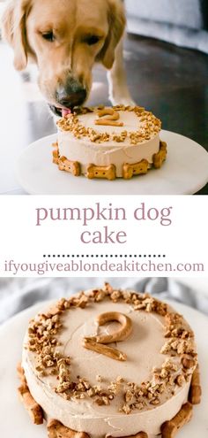 there is a cake with frosting and nuts on the top that says pumpkin dog cake