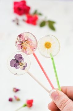 three flower lollipops are being held by a hand