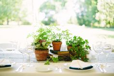 the table is set with plants and place settings for an outdoor dinner or party event