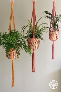 three hanging planters with plants in them, one is pink and the other has green