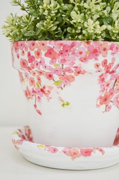 a pink and white flower pot sitting on top of a saucer next to a green plant