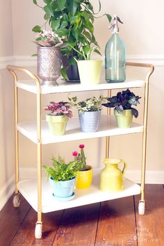 three tiered shelving unit with potted plants on top