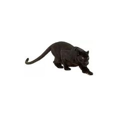 a black cat walking across a white floor