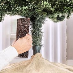 a person is placing pine cones on the top of a christmas tree to decorate it