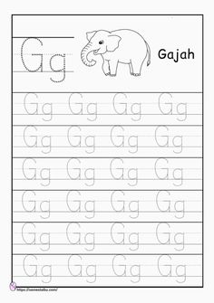 the letter g worksheet with an elephant and letters to write it in english