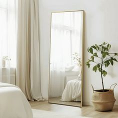 a large mirror sitting on top of a wooden floor next to a potted plant