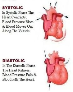 an image of the heart and blood vessels labeled in different languages, with instructions on how to use it