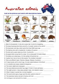 an australian animal worksheet with pictures and words to help students learn how to read