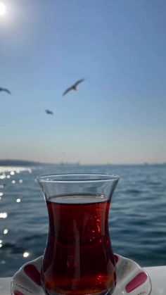 a cup of tea sitting on top of a saucer next to the ocean with seagulls flying overhead