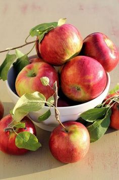 a white bowl filled with lots of red apples