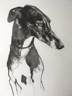 a black and white drawing of a dog's head on a white paper background