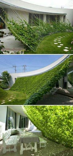 four different views of a house with green plants growing on the outside and in the inside