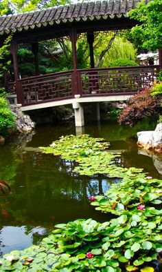 a bridge over a pond with water lilies