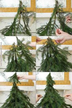 the process of making a christmas tree out of pine branches is shown in multiple pictures