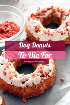 simple recipe for dog donuts you can make with the kids Dog Donut, Dog Breakfast, Dog Cookie Recipes, Foods Dogs Can Eat, Dog Treats Homemade Easy, Easy Dog Treat Recipes