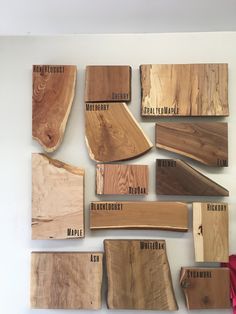 wood samples displayed on white wall with names