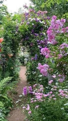 the path is lined with many different types of flowers