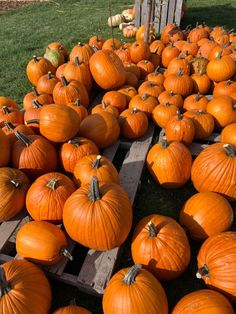 a large pile of pumpkins sitting on top of wooden pallets in the grass