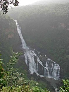 a large waterfall in the middle of a forest