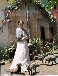 a woman is standing in front of some dogs