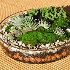 a glass bowl filled with plants on top of a wooden table next to a bamboo mat