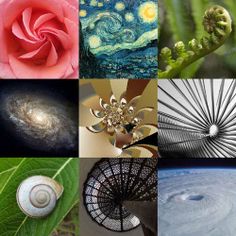 42 Golden Ratio ideas | golden ratio, sacred geometry, fibonacci