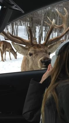 a woman is looking at a deer through the windshield of a car while it's in the snow