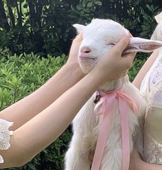 a woman is petting a baby goat on the head while another person holds it