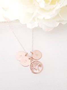 "Simple and beautiful minimalist initial disc necklace in 14k gold filled Great simple necklace for everyday 11MM Discs: 14k gold filled, 14K rose gold filled, Sterling silver 15MM Family Tree: 16K gold plated, 16K rose gold plated, White gold Plated Chain, Clasp: 18\"+2.5\" extender chain PERSONALIZED INITIAL Please note for me when you check out (A-Z). you may choose any length up to 20\". (NO EXTRA COST) Please leave a note at checkout to specify an alternative length All items come wrapped i Mother's Day Rose Gold 14k Gold Charm Necklaces, Anniversary 14k Rose Gold Filled Charm Necklaces, Anniversary 14k Gold Filled Rose Gold Charm Necklace, Anniversary 14k Rose Gold Filled Charm Necklace, Personalized 14k Rose Gold Filled Charm Necklaces, Rose Gold Sterling Silver Charm Necklace For Anniversary, Rose Gold Hypoallergenic Round Charm Necklace, Hypoallergenic Rose Gold Round Charm Necklace, Minimalist Rose Gold Charm Necklace For Mom