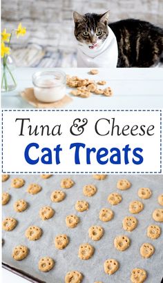 tuna and cheese cat treats on a baking sheet with a cat sitting in the background