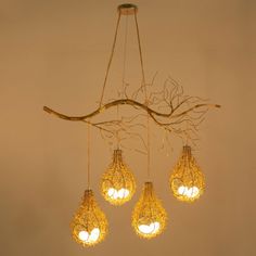 five light bulbs are hanging from a branch with branches attached to the lightshade