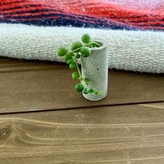 a small potted plant sitting on top of a wooden floor next to a blanket