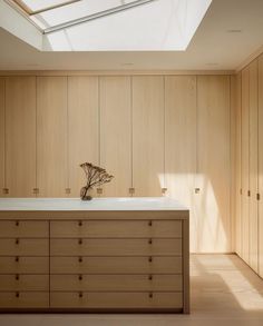 an empty room with wooden cabinets and a skylight above the cabinetry, along with a plant in a vase