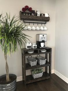 a potted plant sitting on top of a wooden shelf next to a coffee maker