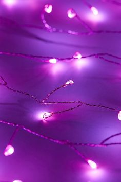 purple lights are strung up on the floor