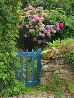 a blue gate surrounded by flowers and greenery in front of a stone wall that has a garden behind it