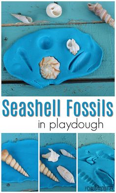 seashell fossils in playdouh for kids to make with clay and sand