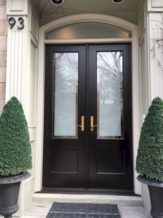 two potted plants are in front of a black double door with glass panels and sidelights