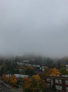 a foggy city with trees and buildings in the foreground on a cloudy day