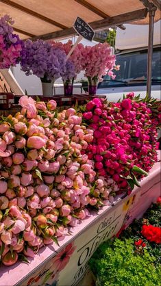 many different types of flowers are on display