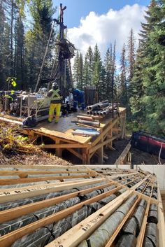 there is a crane that is sitting on the ground next to some logs and trees