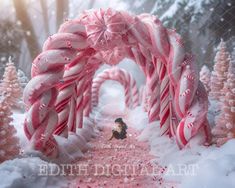 Pink Christmas Candycane Arch, Bokeh, Candy Pathway, Fantasy Background, Xmas Backdrop Photography, Kids, Family, Pets. + Snow Overlay For Extra Discount take a look of my 60 Christmas ARCH  Bundle Collections: https://www.etsy.com/listing/1783216927/christmas-arch-digital-backdrop Transform ordinary photographs into extraordinary memories with our exquisite Digital Backdrops for Photography Composites. Explore our collection of whimsical fine art Photography Digital Backgrounds, Designed to inf Xmas Backdrop, Christmas Arch, Snow Overlay, Backdrop Photography, Fantasy Background, Snow Ice, Family Pets, Composition Photography, Aspiring Artist