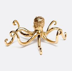 an octopus brooch is shown on a white background