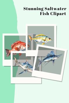 four pictures of fish with the words stuming saltwater fish clipart